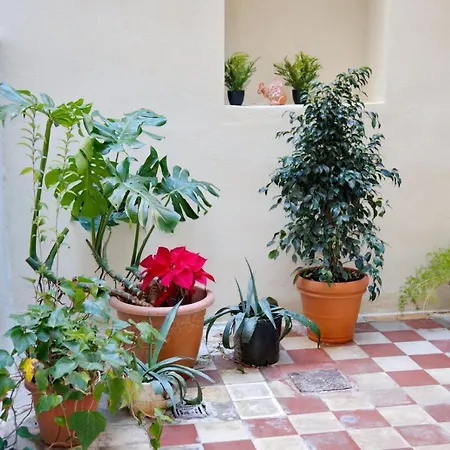 Aroura Neoclassical 3br 2ba Apartment Athens